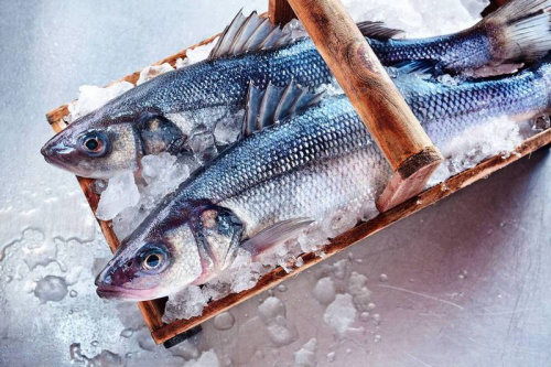 Современные способы доставки замороженных продуктов: что выбрать бизнесу и частным клиентам